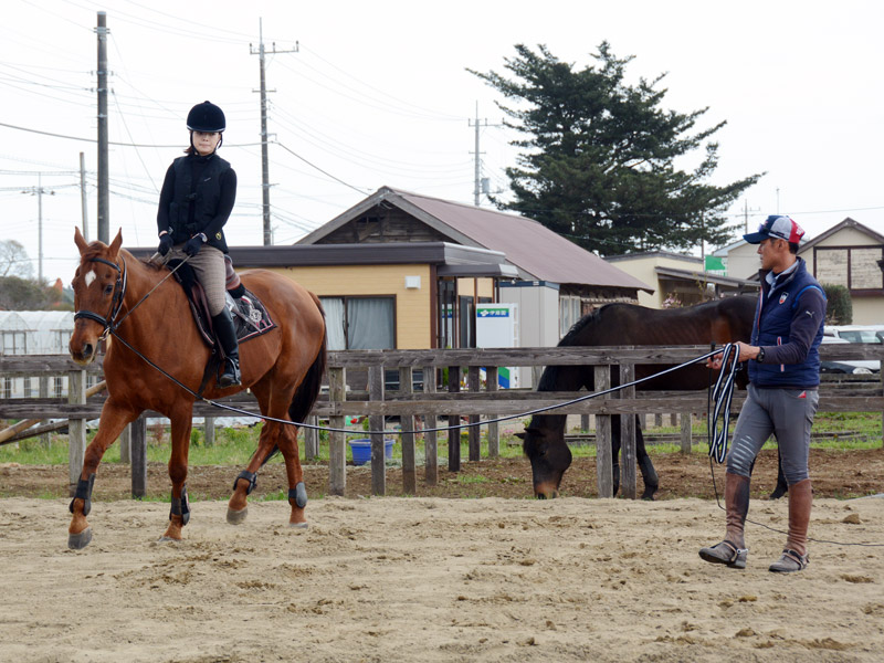 レッスンのご案内 パートナーホースクラブ 千葉県富里市の乗馬クラブ